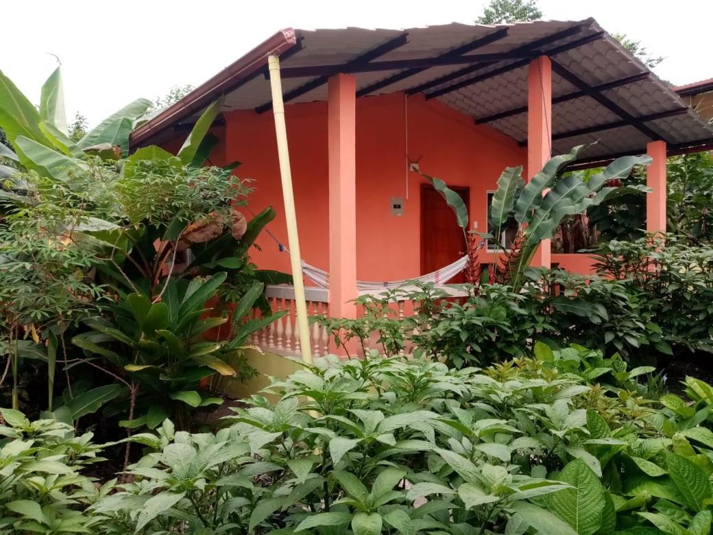 Hostal Tena Naui Exterior foto